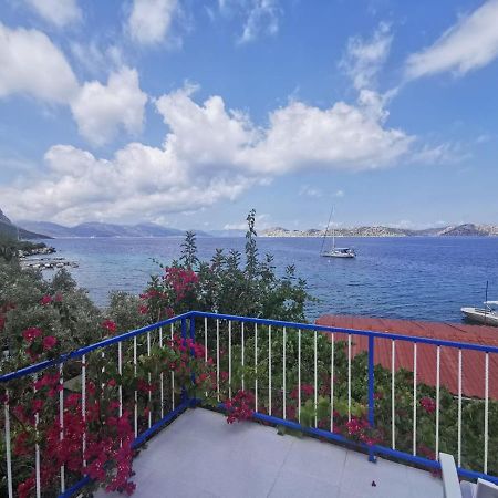 Mavi Akvaryum Pension Hotel Sogut  Luaran gambar
