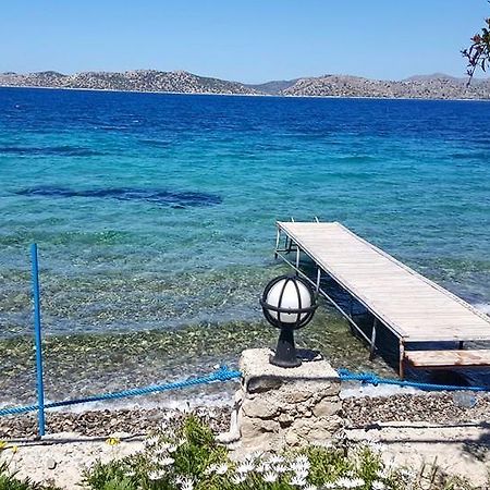 Mavi Akvaryum Pension Hotel Sogut  Luaran gambar
