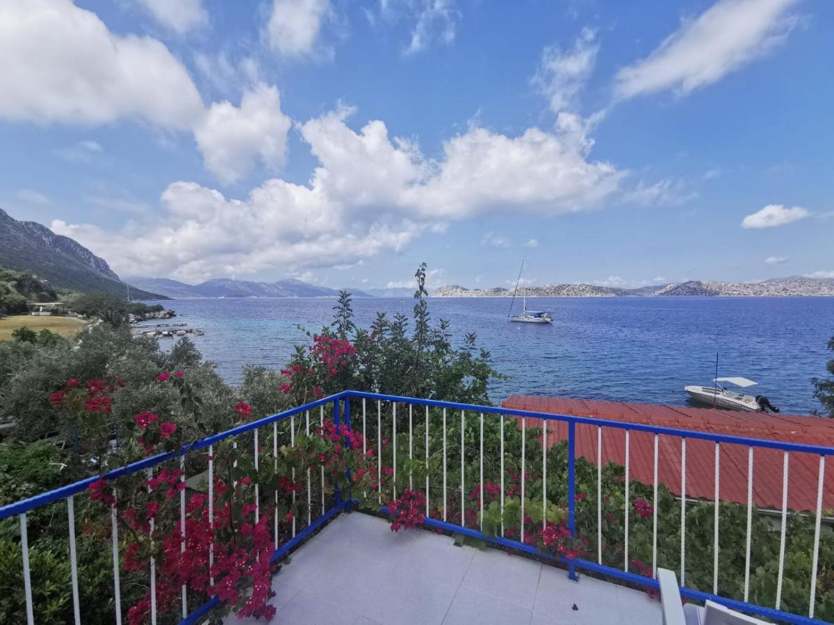 Mavi Akvaryum Pension Hotel Sogut  Luaran gambar