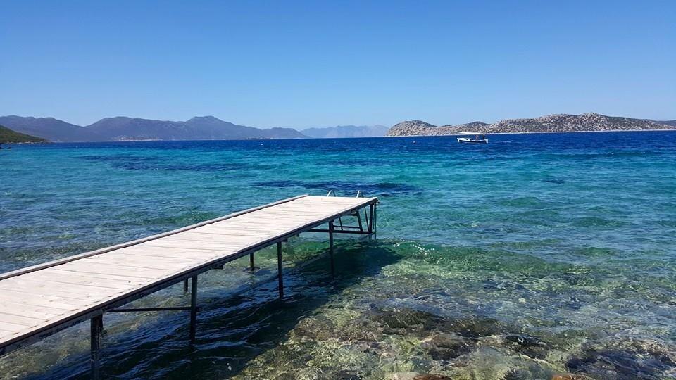 Mavi Akvaryum Pension Hotel Sogut  Luaran gambar