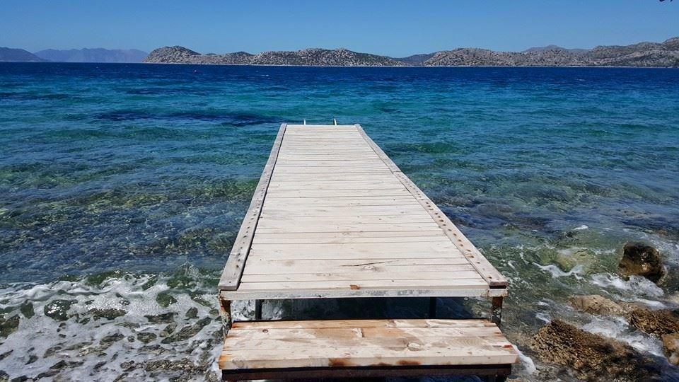 Mavi Akvaryum Pension Hotel Sogut  Luaran gambar