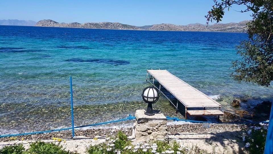 Mavi Akvaryum Pension Hotel Sogut  Luaran gambar