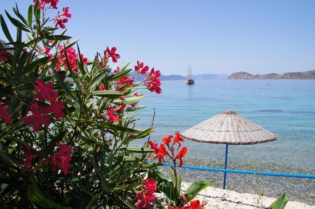 Mavi Akvaryum Pension Hotel Sogut  Luaran gambar