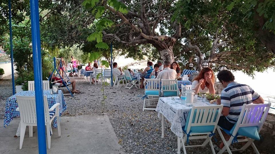 Mavi Akvaryum Pension Hotel Sogut  Luaran gambar
