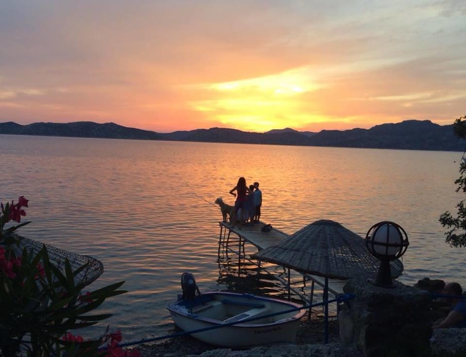 Mavi Akvaryum Pension Hotel Sogut  Luaran gambar