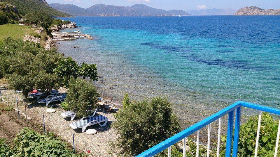 Mavi Akvaryum Pension Hotel Sogut  Luaran gambar