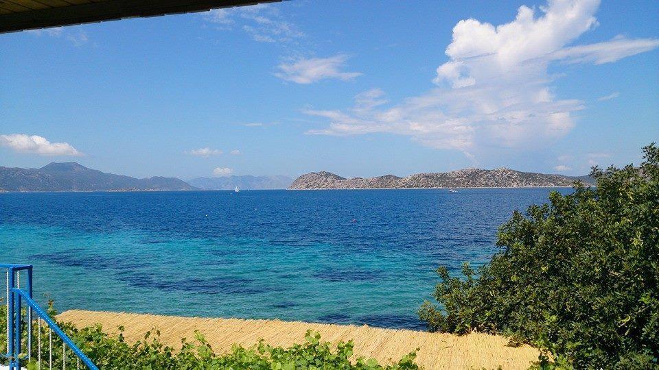 Mavi Akvaryum Pension Hotel Sogut  Luaran gambar