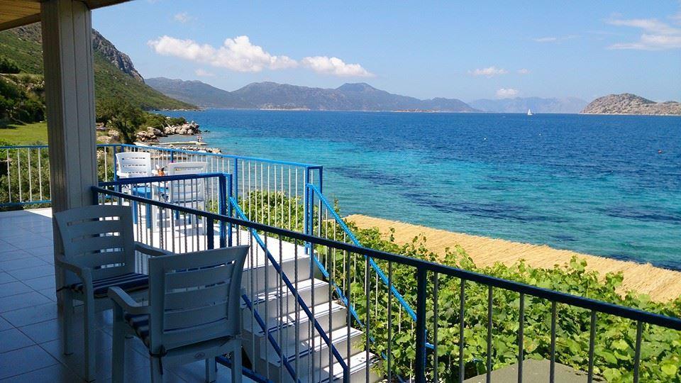 Mavi Akvaryum Pension Hotel Sogut  Luaran gambar