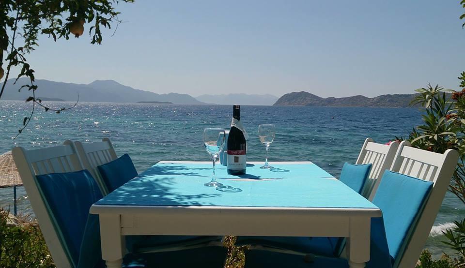 Mavi Akvaryum Pension Hotel Sogut  Luaran gambar