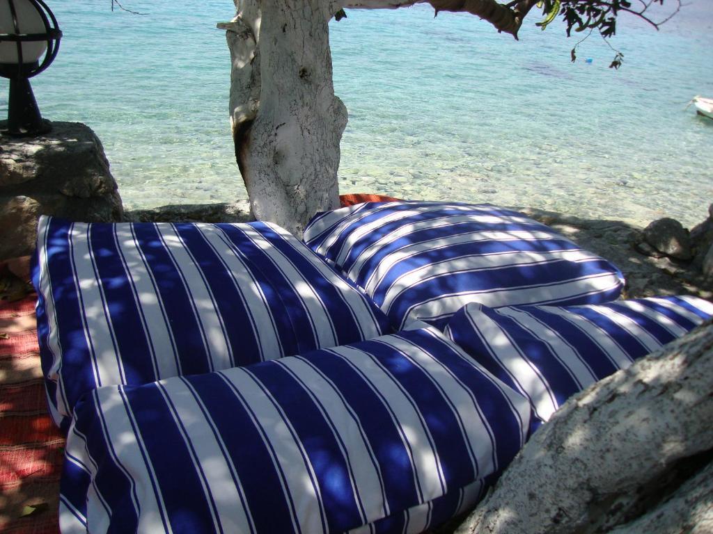 Mavi Akvaryum Pension Hotel Sogut  Luaran gambar