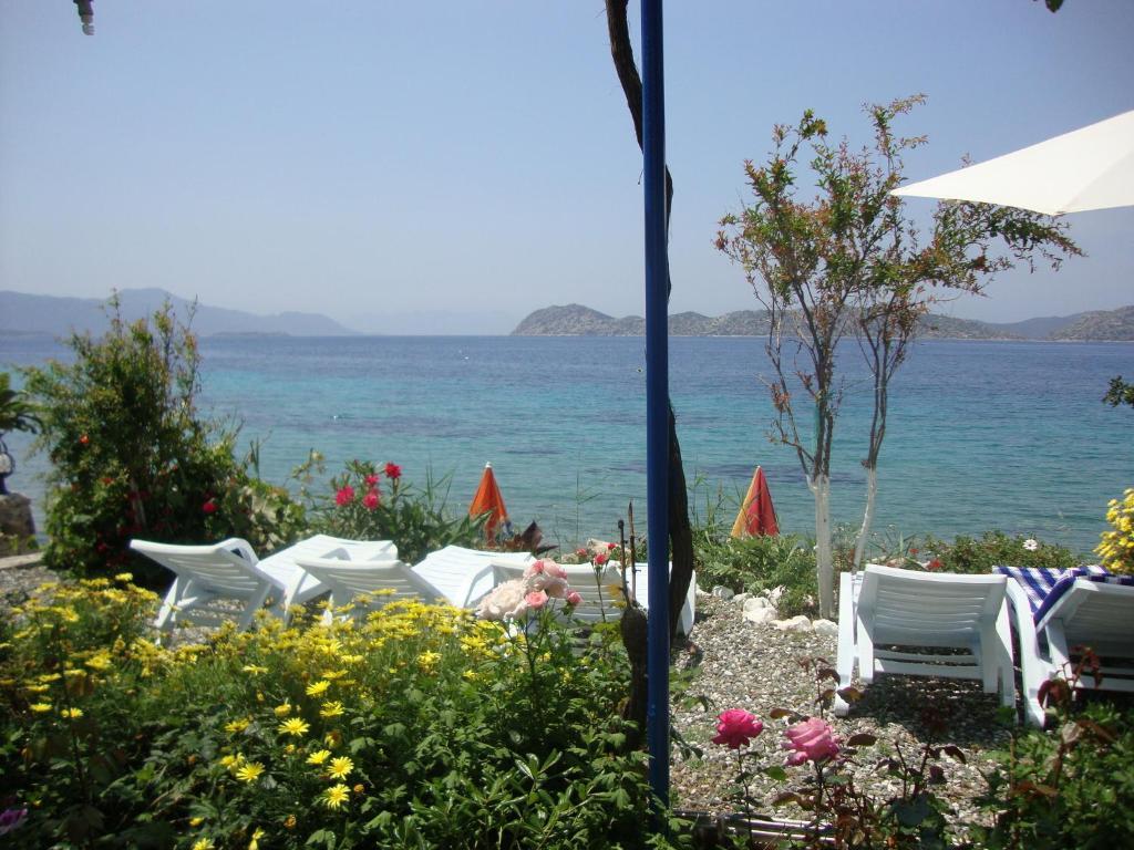 Mavi Akvaryum Pension Hotel Sogut  Luaran gambar