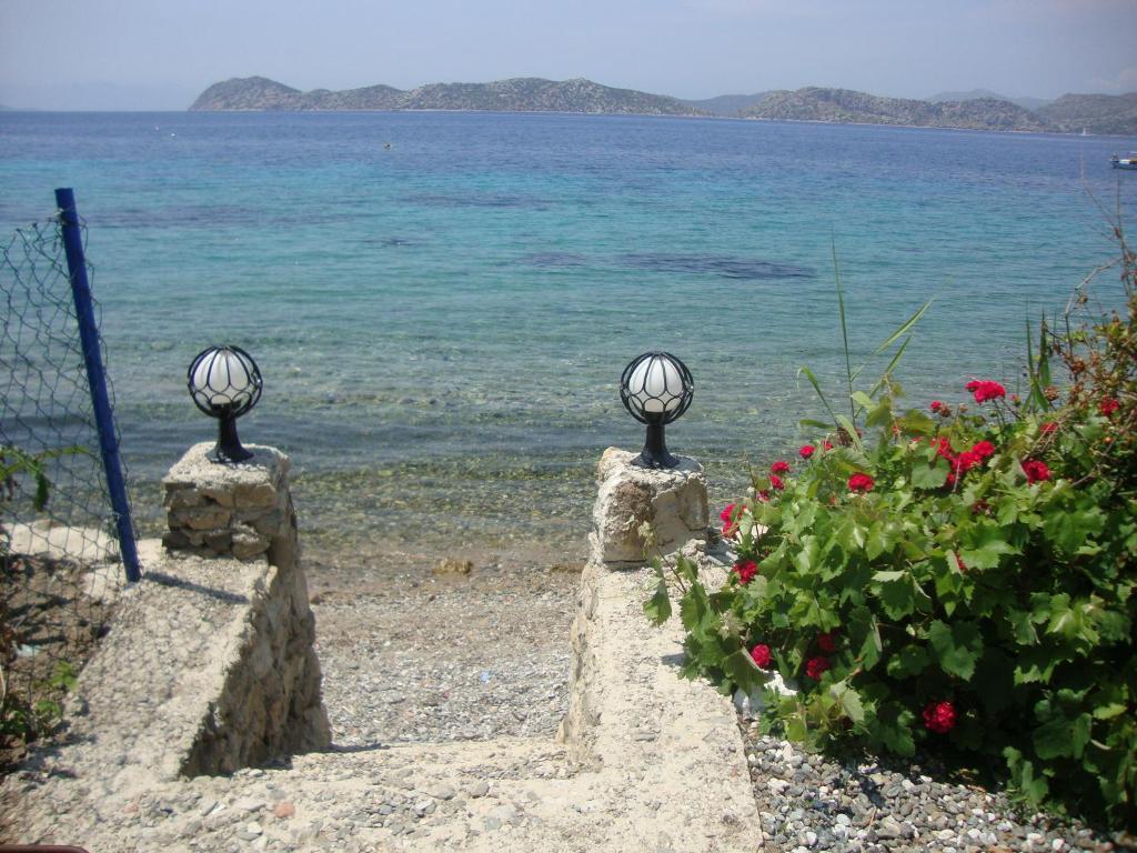 Mavi Akvaryum Pension Hotel Sogut  Luaran gambar