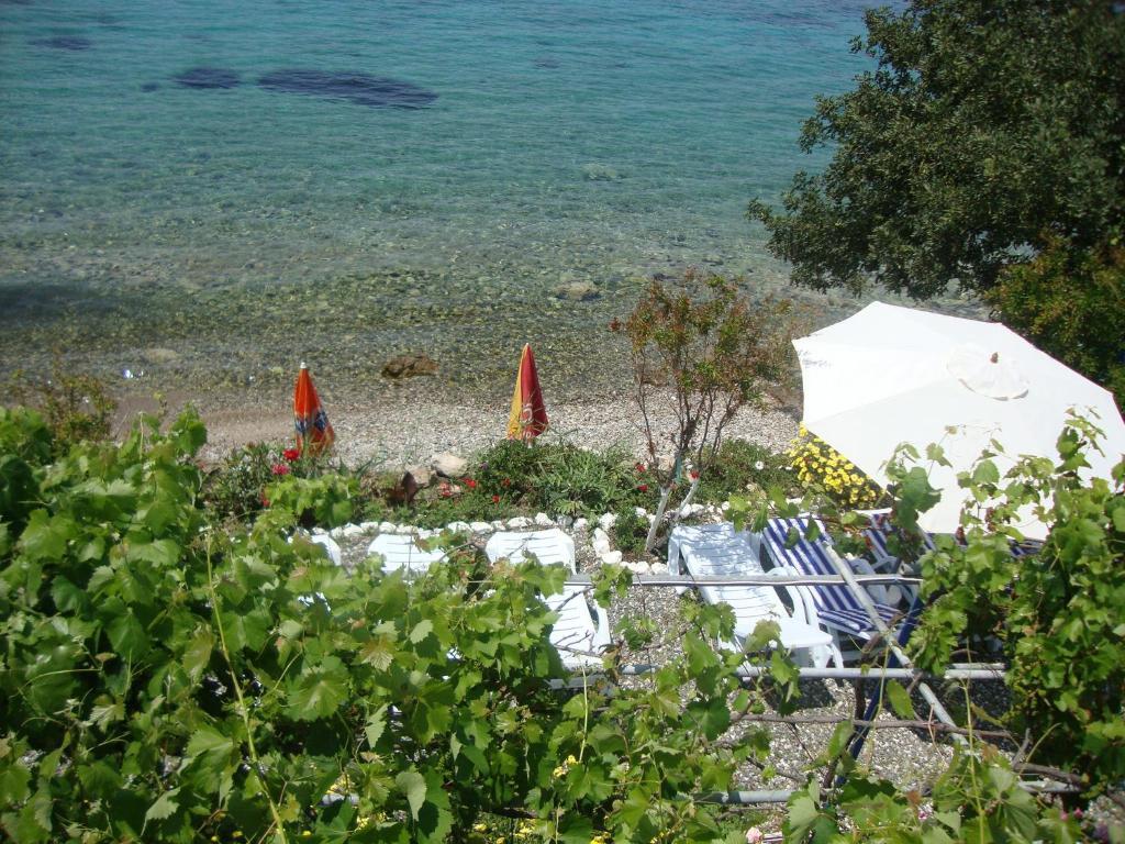 Mavi Akvaryum Pension Hotel Sogut  Luaran gambar