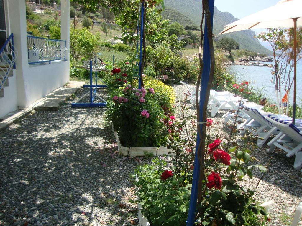 Mavi Akvaryum Pension Hotel Sogut  Luaran gambar