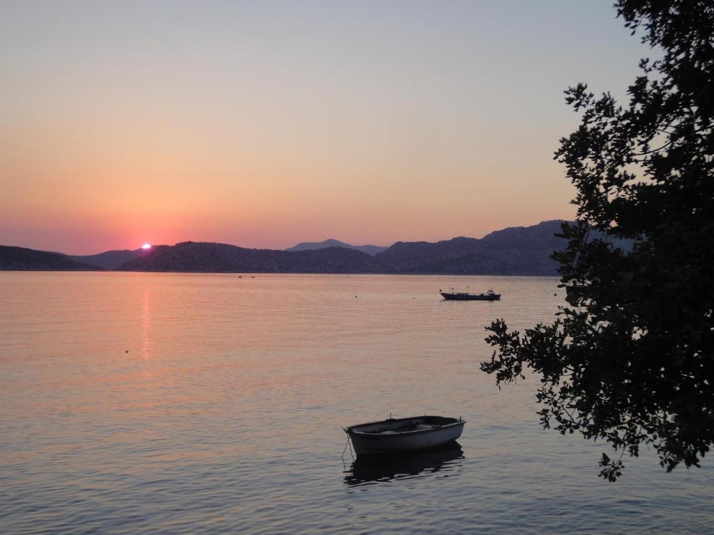 Mavi Akvaryum Pension Hotel Sogut  Luaran gambar
