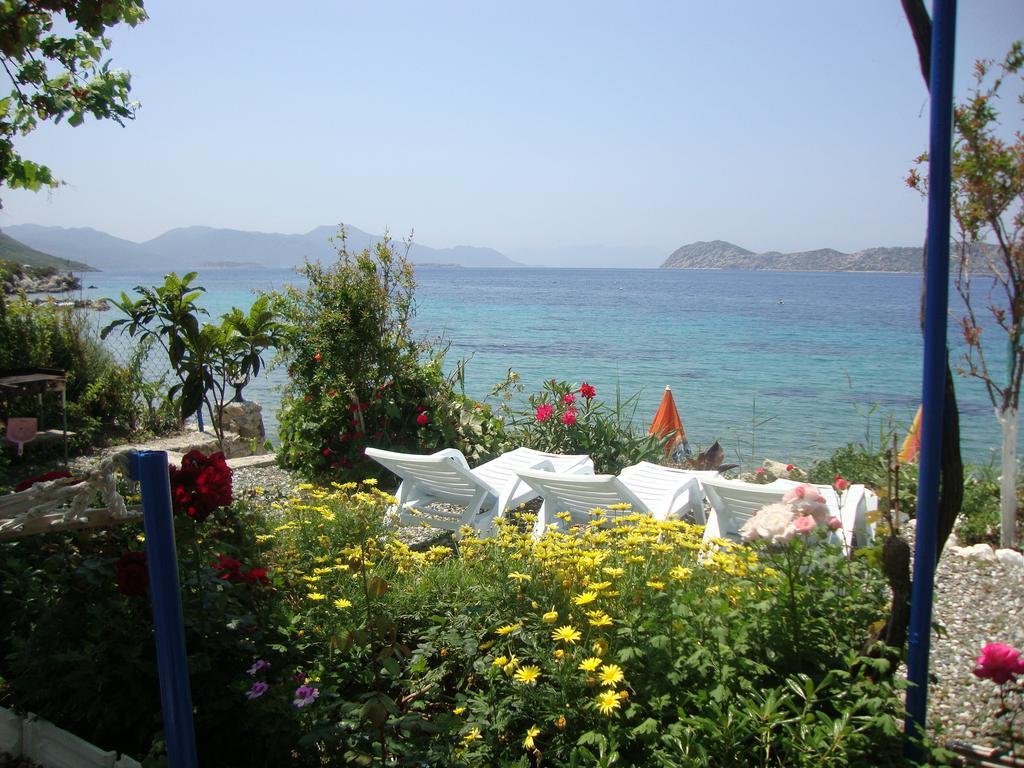 Mavi Akvaryum Pension Hotel Sogut  Luaran gambar