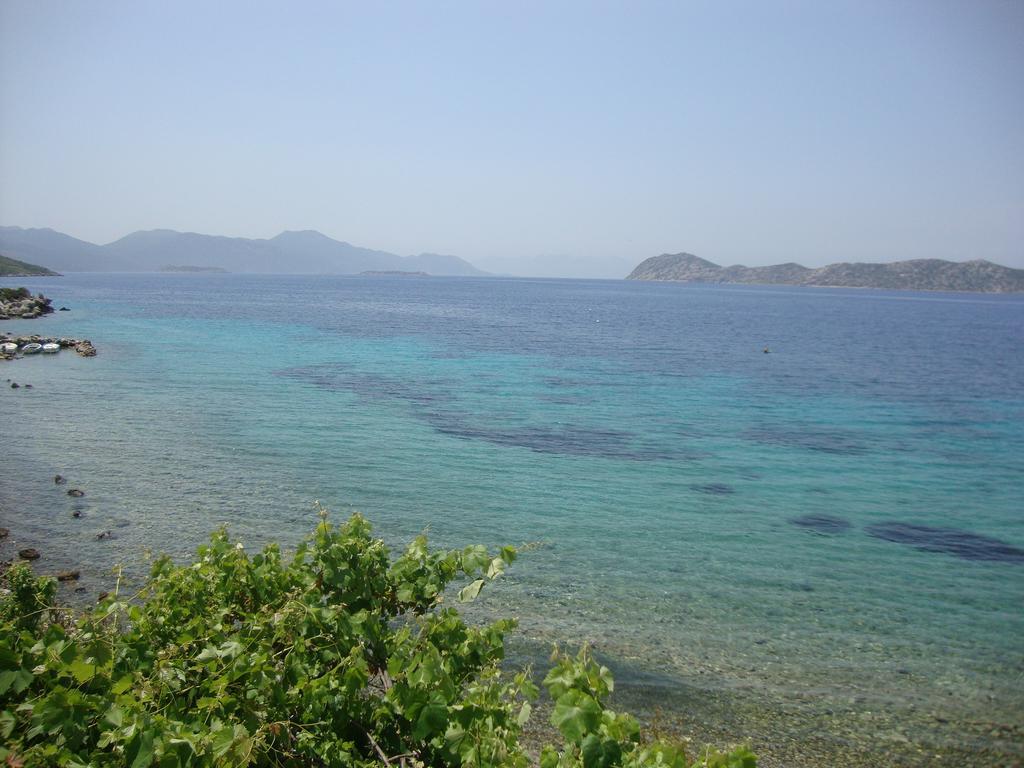 Mavi Akvaryum Pension Hotel Sogut  Luaran gambar